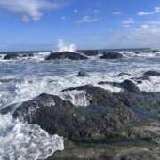 ヒメ日記 2025/12/26 16:06 投稿 ひかり ビーナス(宇都宮)