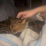 ヒメ日記 2025/12/05 09:30 投稿 まき 埼玉ちゅっぱ大宮店