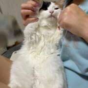 ヒメ日記 2025/12/05 12:02 投稿 まき 埼玉ちゅっぱ大宮店