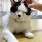 ヒメ日記 2025/12/06 15:30 投稿 まき 埼玉ちゅっぱ大宮店