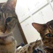 ヒメ日記 2025/12/10 20:30 投稿 まき 埼玉ちゅっぱ大宮店