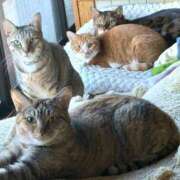 ヒメ日記 2025/12/30 16:45 投稿 まき 埼玉ちゅっぱ大宮店