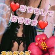 ヒメ日記 2025/07/02 07:01 投稿 まな 小岩人妻花壇