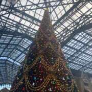 ヒメ日記 2025/11/24 12:41 投稿 まな 小岩人妻花壇