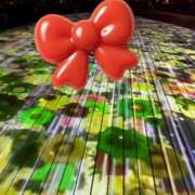 ヒメ日記 2025/12/12 00:12 投稿 まな 小岩人妻花壇