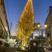 ヒメ日記 2025/12/16 18:59 投稿 まな 小岩人妻花壇