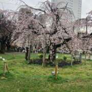 ヒメ日記 2026/04/04 11:02 投稿 まな 小岩人妻花壇