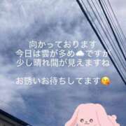 ヒメ日記 2026/06/10 10:47 投稿 まな 小岩人妻花壇