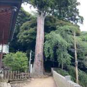 ヒメ日記 2026/07/15 18:04 投稿 まな 小岩人妻花壇