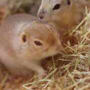 ヒメ日記 2025/02/11 13:53 投稿 ちか 横浜シンデレラ（シンデレラグループ）