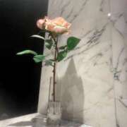 ヒメ日記 2025/05/08 17:52 投稿 ちか 横浜シンデレラ（シンデレラグループ）