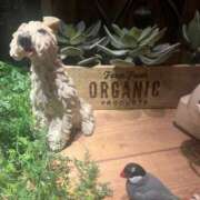 ヒメ日記 2025/06/02 22:30 投稿 ちか 横浜シンデレラ（シンデレラグループ）