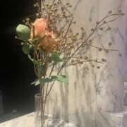 ヒメ日記 2025/07/31 11:26 投稿 ちか 横浜シンデレラ（シンデレラグループ）