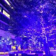 ヒメ日記 2025/11/21 18:47 投稿 ちか 横浜シンデレラ（シンデレラグループ）