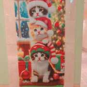 ちか あれ･･･? 横浜シンデレラ（シンデレラグループ）