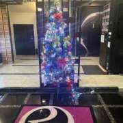 ヒメ日記 2025/12/25 20:47 投稿 ちか 横浜シンデレラ（シンデレラグループ）