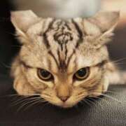 ヒメ日記 2025/01/19 02:34 投稿 めぐみ OKINI立川