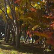 こころ 出勤♡ 池袋人妻アデージョ