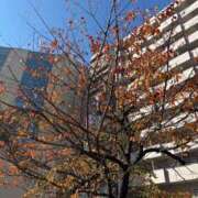 こころ 出勤しました！ 池袋人妻アデージョ