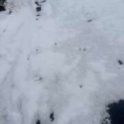 こころ 雪⛄️ 池袋人妻アデージョ