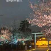 ヒメ日記 2026/04/07 21:09 投稿 こころ 池袋人妻アデージョ