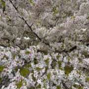 ヒメ日記 2026/04/09 22:29 投稿 こころ 池袋人妻アデージョ