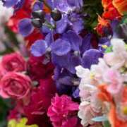 ヒメ日記 2026/04/16 18:09 投稿 こころ 池袋人妻アデージョ