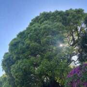 ヒメ日記 2026/04/22 11:59 投稿 こころ 池袋人妻アデージョ