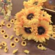 ヒメ日記 2026/08/15 22:29 投稿 こころ 池袋人妻アデージョ