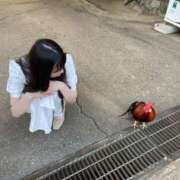 ヒメ日記 2025/08/27 18:55 投稿 ともえ 奥様はエンジェル　相模原店