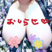 ヒメ日記 2026/05/31 13:25 投稿 宮澤うれは HANABI(福富町)