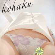 ヒメ日記 2025/07/05 15:05 投稿 こはく 美熟女倶楽部Hip's 春日部店