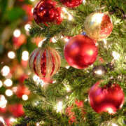 ヒメ日記 2025/12/25 01:48 投稿 こはく 美熟女倶楽部Hip's 春日部店