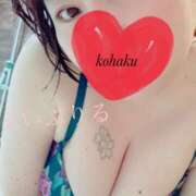 ヒメ日記 2026/04/01 06:53 投稿 こはく 美熟女倶楽部Hip's 春日部店