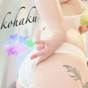 ヒメ日記 2026/04/21 12:04 投稿 こはく 美熟女倶楽部Hip's 春日部店