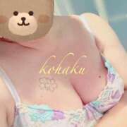 ヒメ日記 2026/04/28 11:15 投稿 こはく 美熟女倶楽部Hip's 春日部店