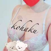 ヒメ日記 2026/05/02 09:12 投稿 こはく 美熟女倶楽部Hip's 春日部店