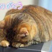 ヒメ日記 2025/12/30 13:51 投稿 みか 熟女の風俗最終章 蒲田店