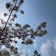 ヒメ日記 2025/04/11 10:14 投稿 新田理華 クラブ華