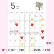 ヒメ日記 2025/04/22 15:47 投稿 新田理華 クラブ華