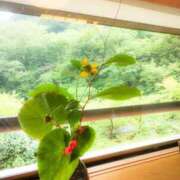 ヒメ日記 2025/06/08 12:32 投稿 新田理華 クラブ華