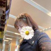 ヒメ日記 2025/12/02 16:00 投稿 新田理華 クラブ華