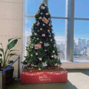 ヒメ日記 2025/12/24 16:00 投稿 新田理華 クラブ華