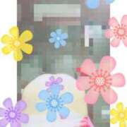 ヒメ日記 2025/09/26 11:00 投稿 神崎夢 HANABI(福富町)