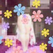 ヒメ日記 2025/11/23 12:01 投稿 神崎夢 HANABI(福富町)