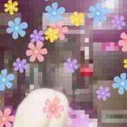 ヒメ日記 2026/03/31 12:01 投稿 神崎夢 HANABI(福富町)