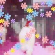 ヒメ日記 2026/10/06 12:02 投稿 神崎夢 HANABI(福富町)