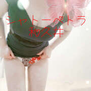 ヒメ日記 2025/04/24 10:42 投稿 和久井 シャトーペトラ