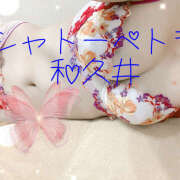 ヒメ日記 2025/08/17 10:48 投稿 和久井 シャトーペトラ