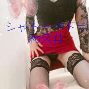 ヒメ日記 2025/09/10 10:48 投稿 和久井 シャトーペトラ